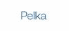 Pelka und Sozien GmbH
